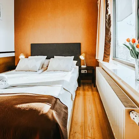 Апартаменты Visitzakopane - Cristal *