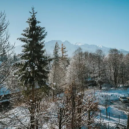 Visitzakopane - Cristal アパート *