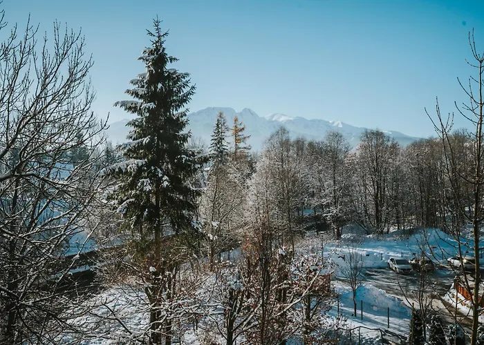 Visitzakopane - Cristal Daire *